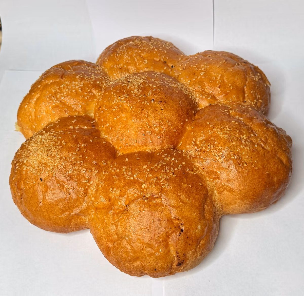 Погача сунце
